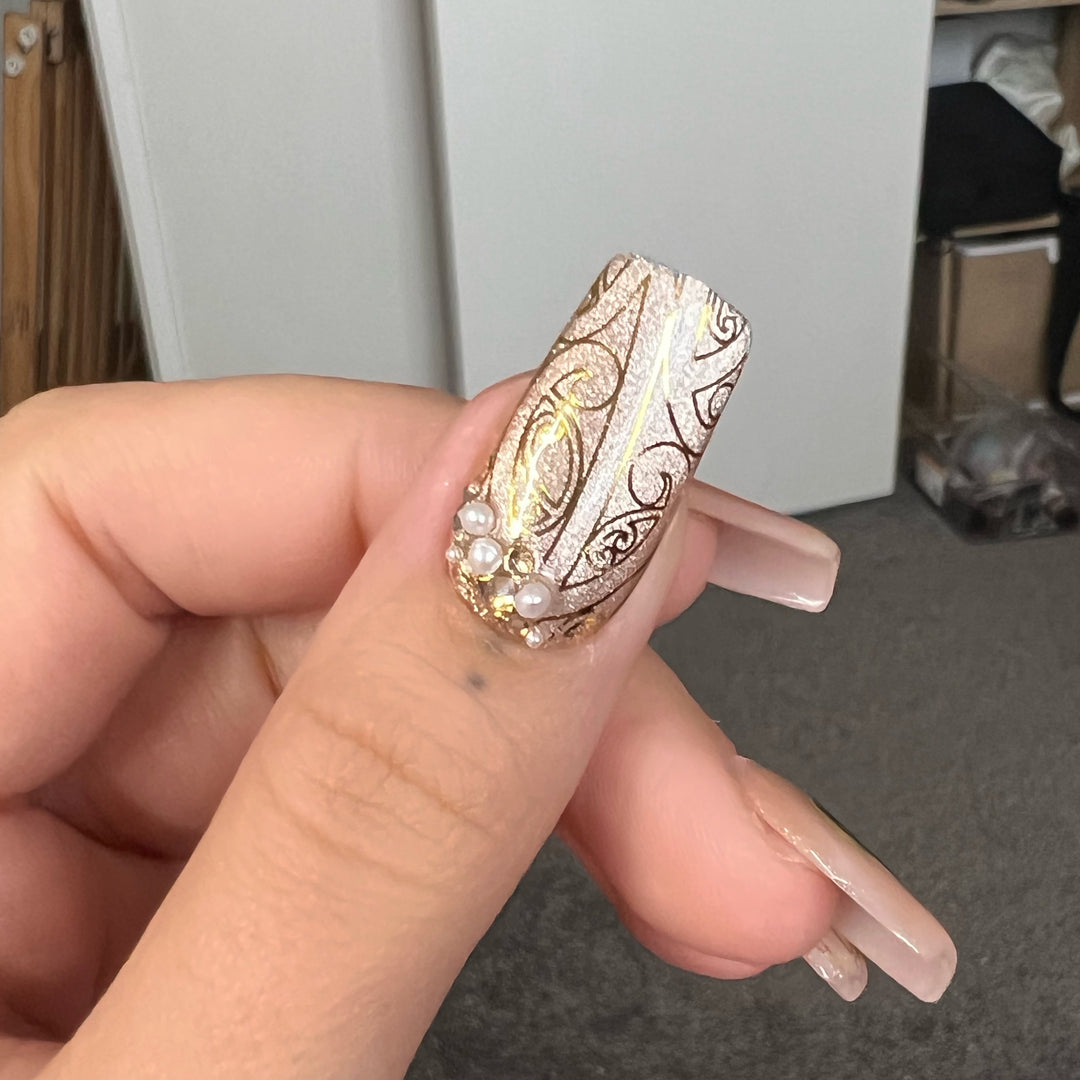 Elegant Pāua