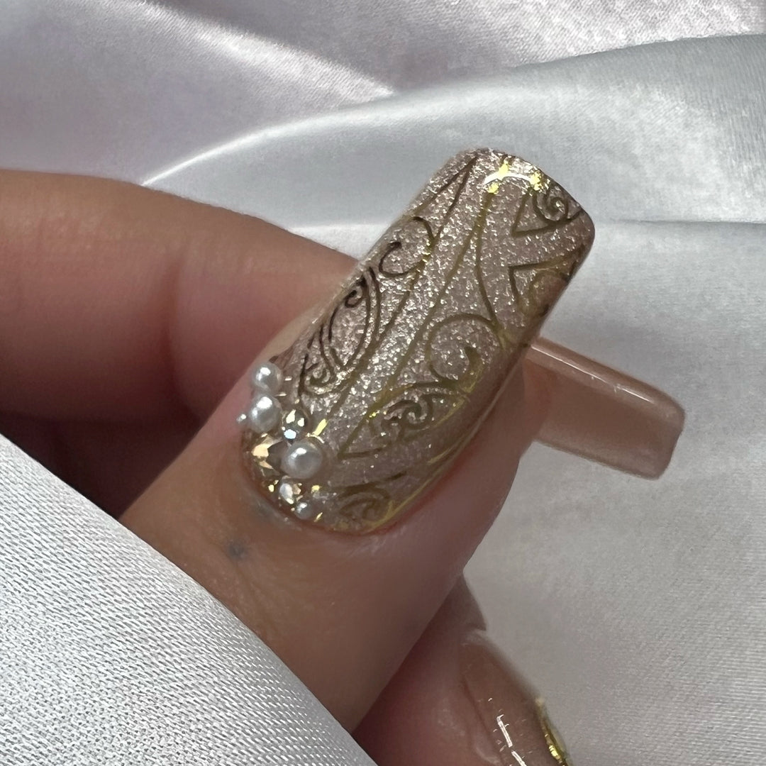 Elegant Pāua