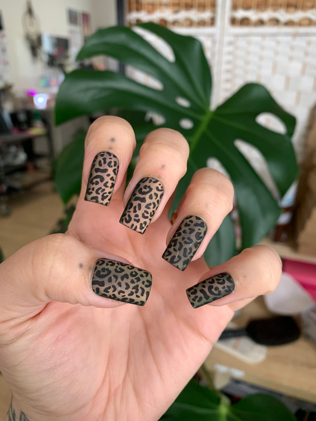 Cheetah | Water Melon Cat Eye | Press Ons Matte