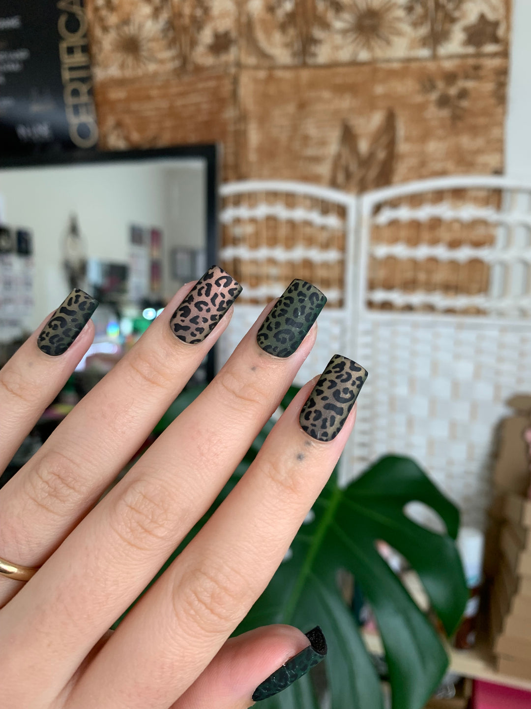 Cheetah | Water Melon Cat Eye | Press Ons Matte
