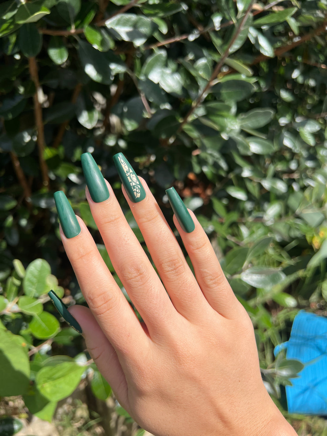 Vanilla Ngahere | Te Pō