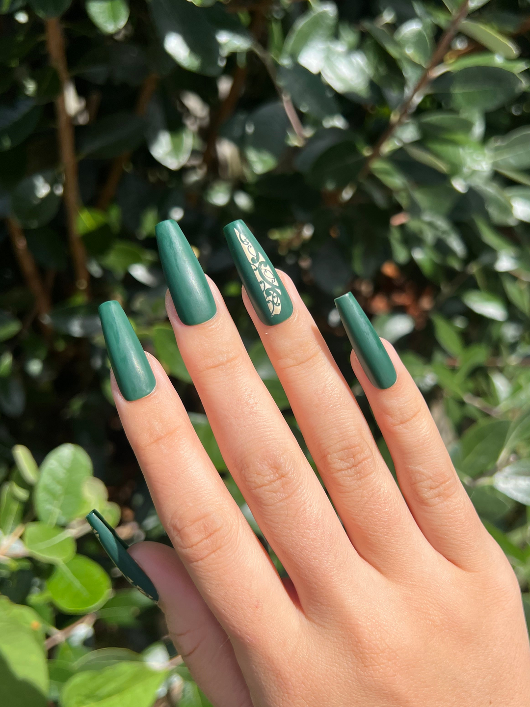 Vanilla Ngahere | Te Pō